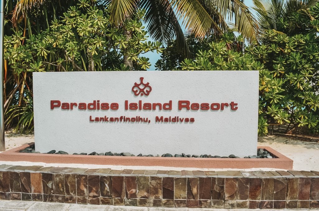 Paradise island 