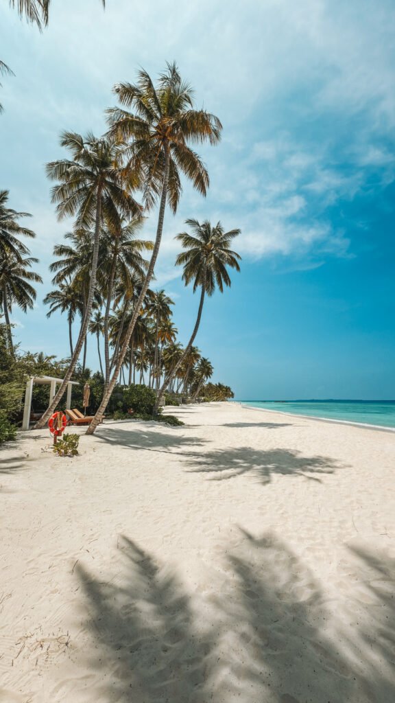 Beach in Siyam World Maldives