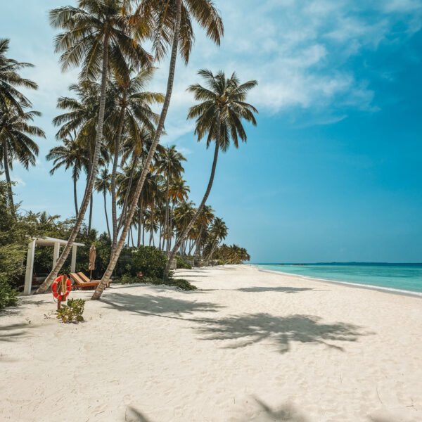 3 Warm Places to Visit in December for Winter Sun
