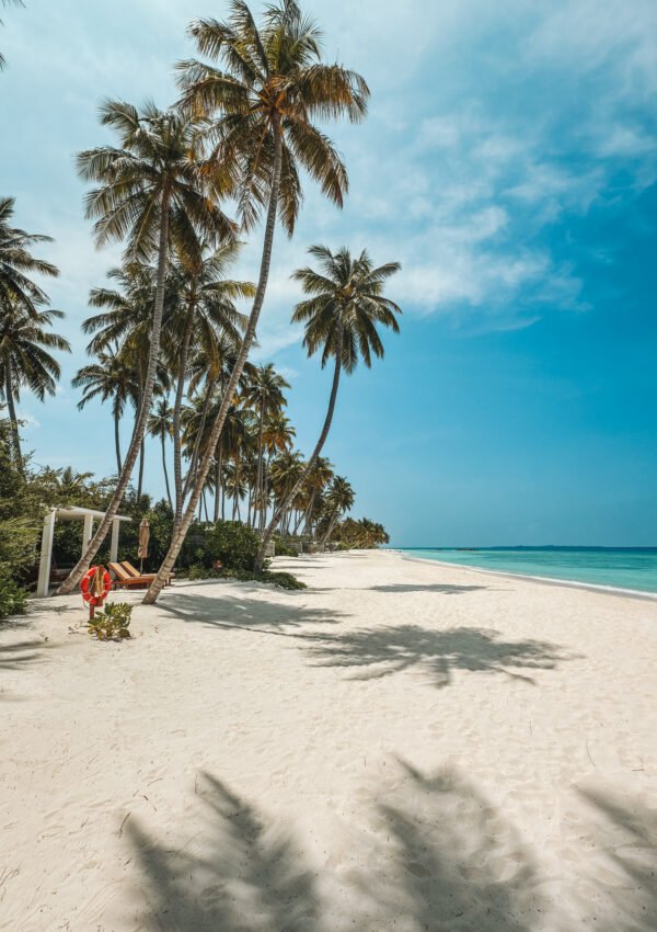 3 Warm Places to Visit in December for Winter Sun