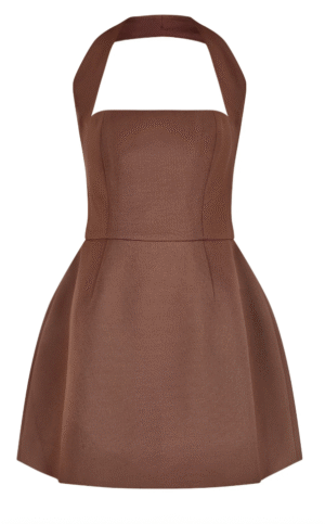 The Ultimate Muse Structured Mini Dress