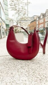 Carey Crescent Hobo Bag - Burgundy Charles and Keith