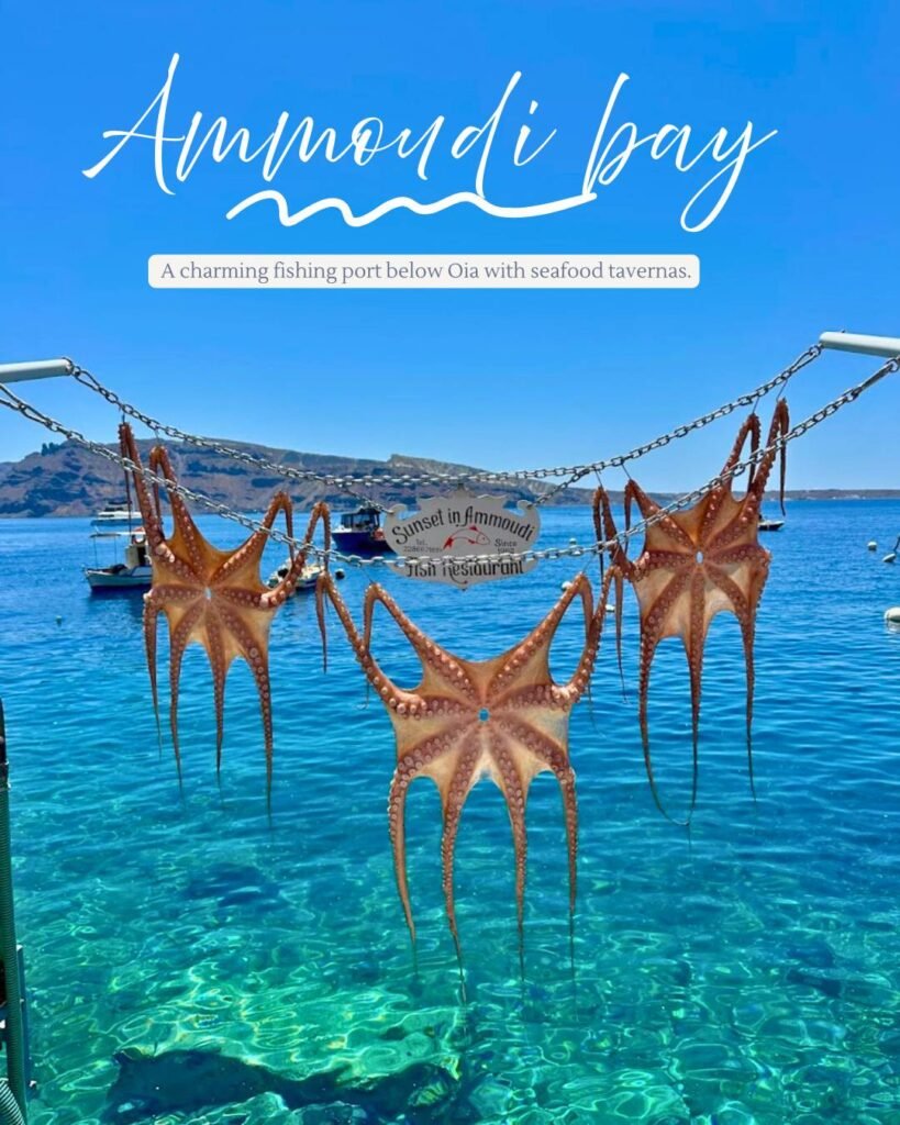 Three Octopus hanging in front of Ammoudi bay fish tavern in Ammoudi bay , Santorini