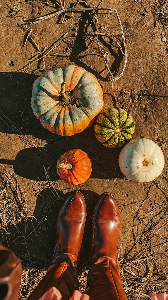 An image of brown boots and 4 novelty pumpkins of various sizes on a pumpkin patch.