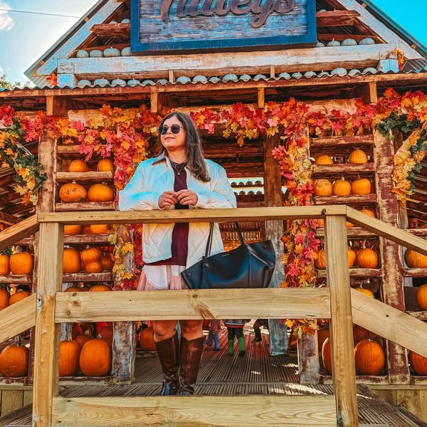 Tulleys Pumpkin Festival Review- Perfect Autumn activity